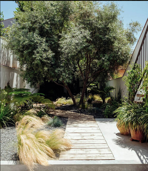 jardin exterior