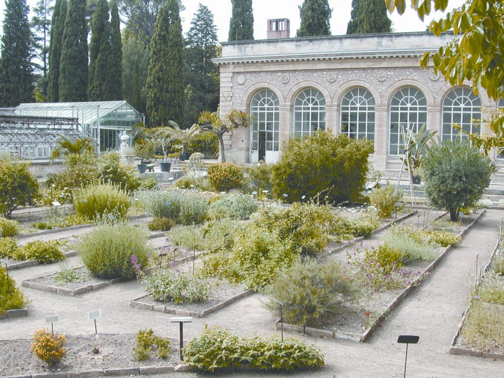 jardin_plantas